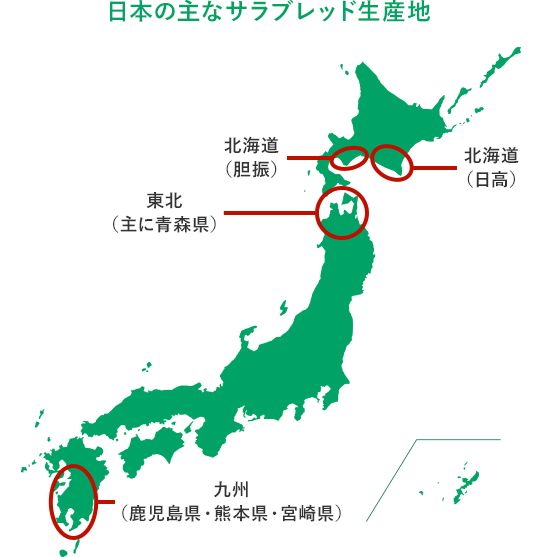 日本の主なサラブレッド生産地 北海道(胆振) 北海道(日高) 東北(主に青森県) 九州(鹿児島県·熊本県·宮崎県)