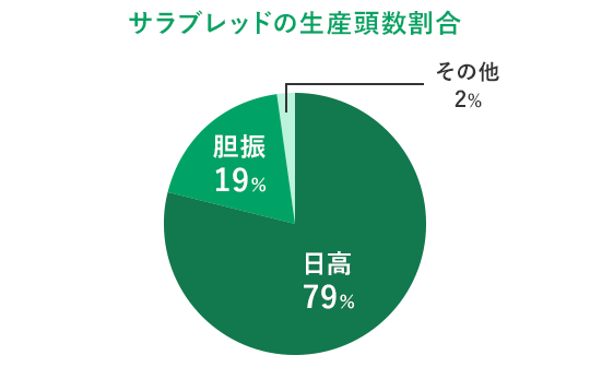 サラブレッドの生産頭数割合 日高79% 胆振19% その他2%