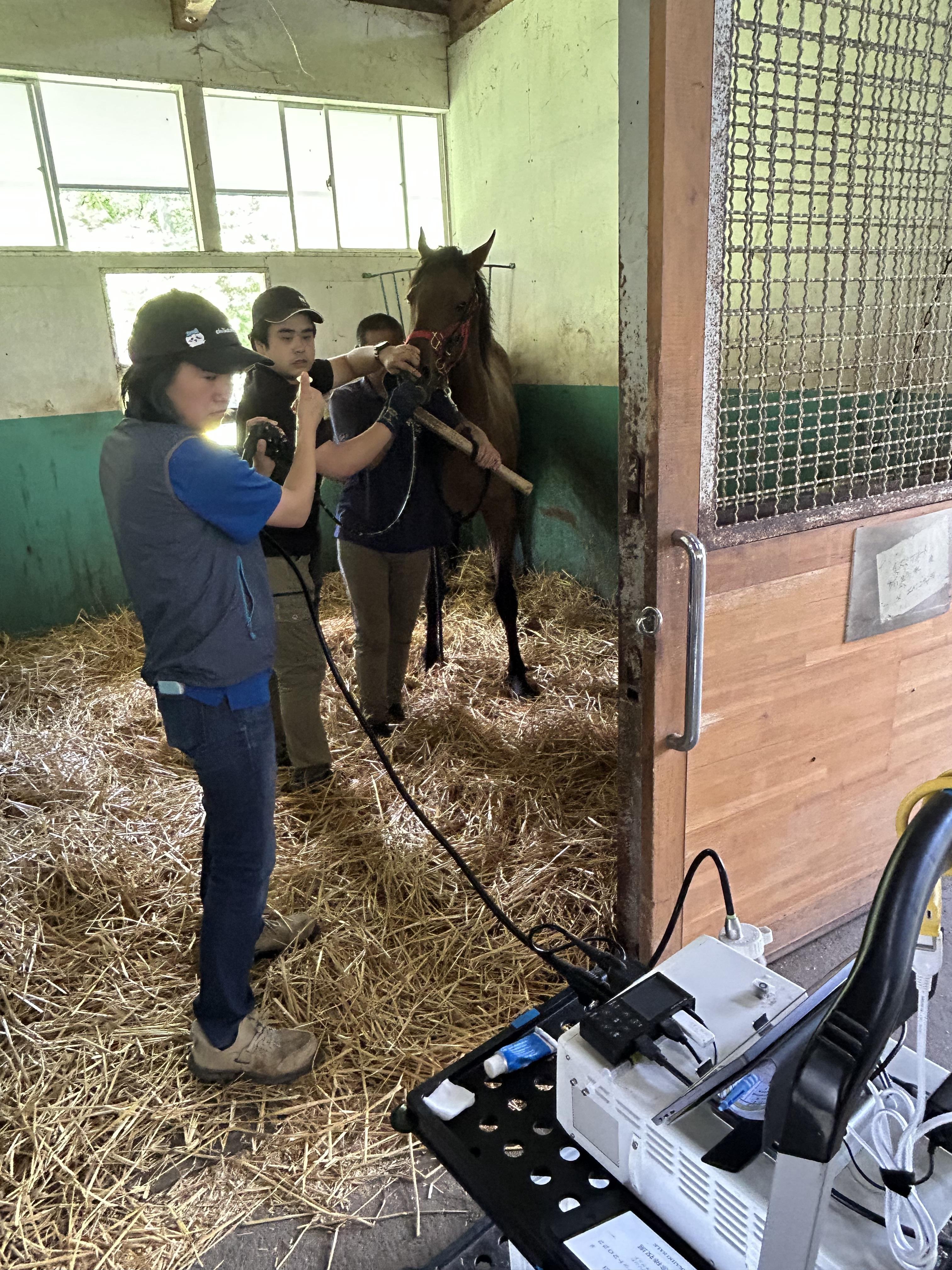 一次診療（内視鏡検査）