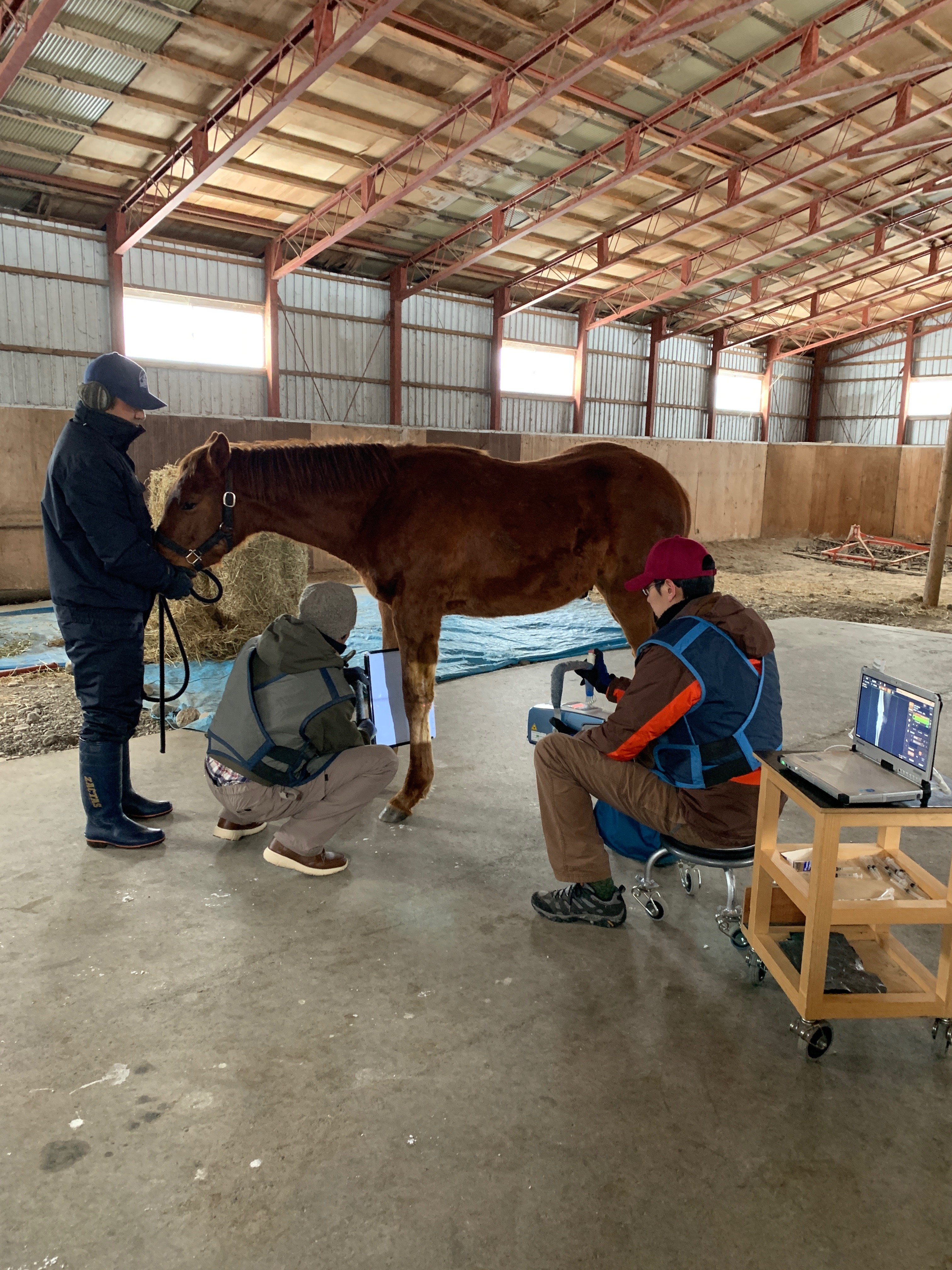 レポジトリー検査