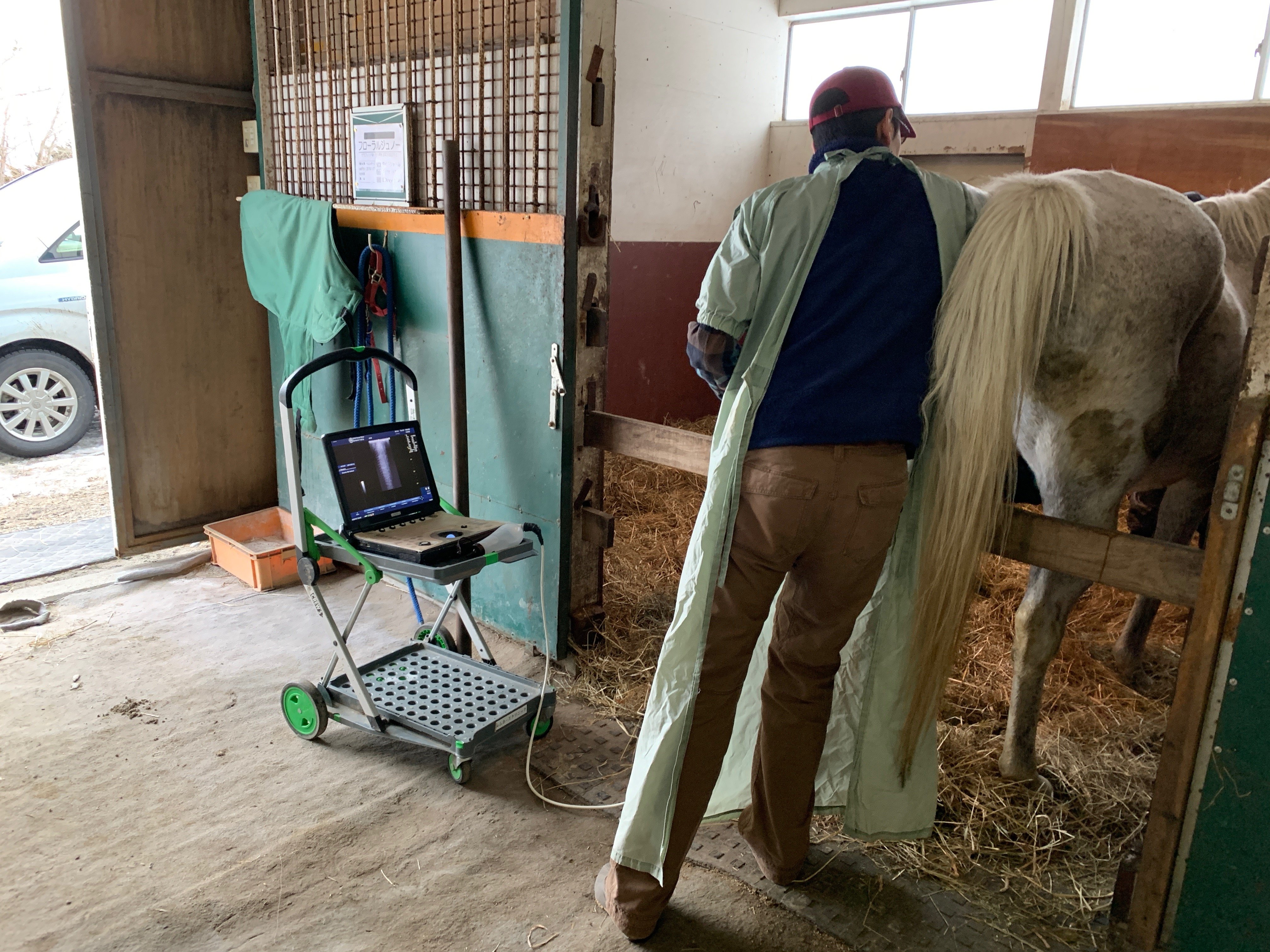 一次診療（繁殖学的検査）