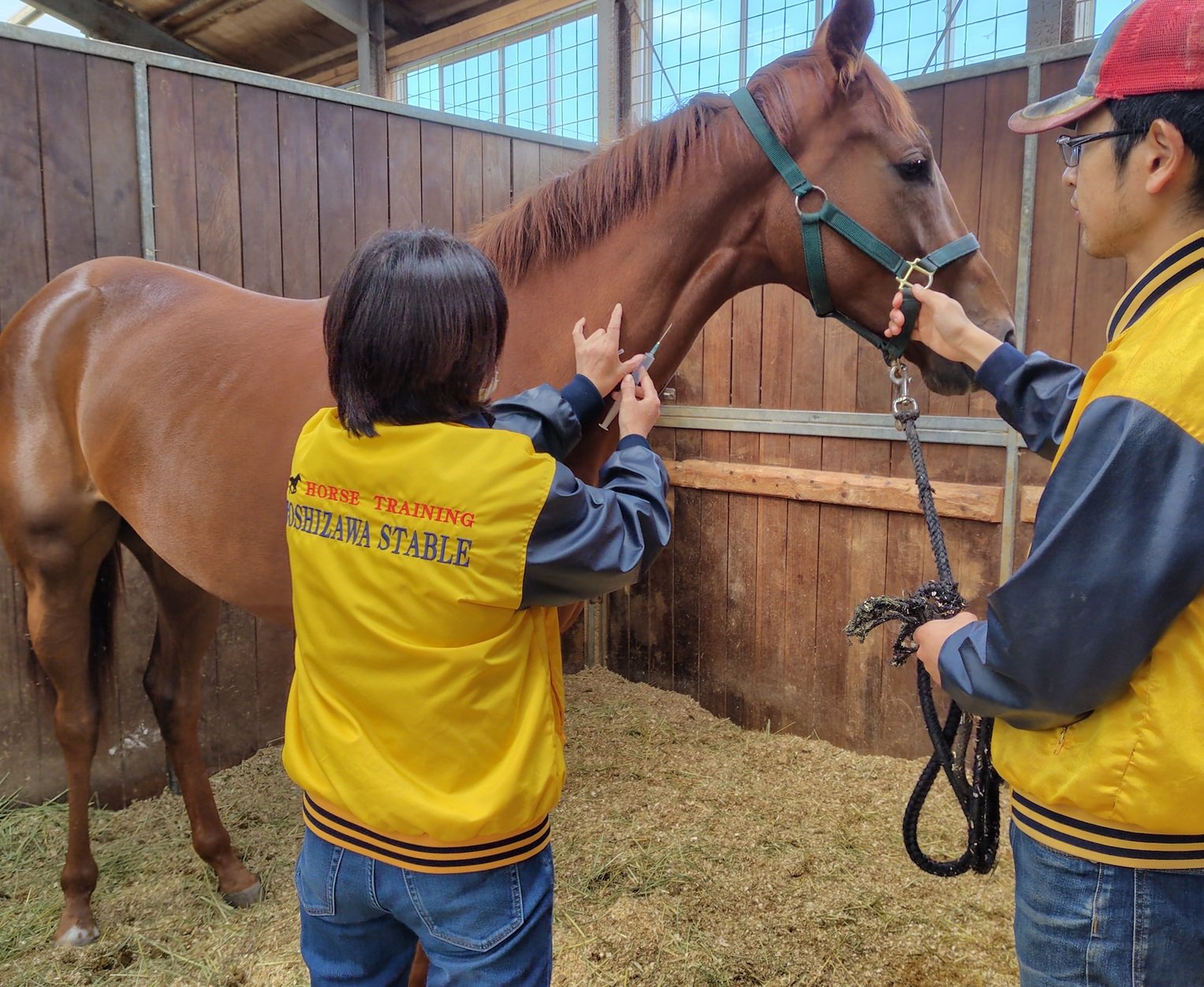 診療風景（注射）