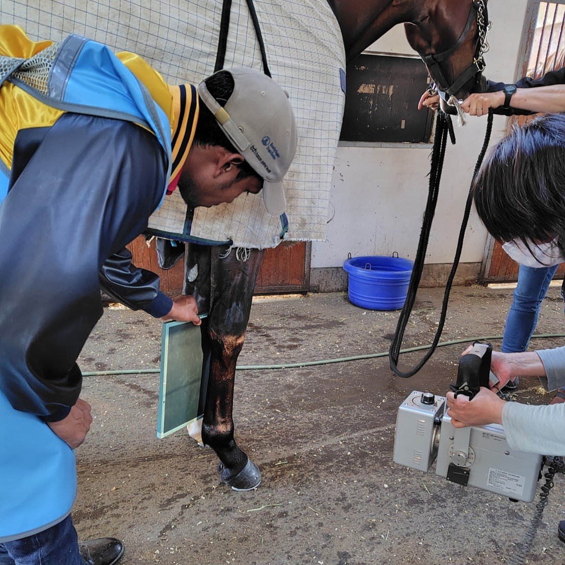 吉澤ステーブルX線検査