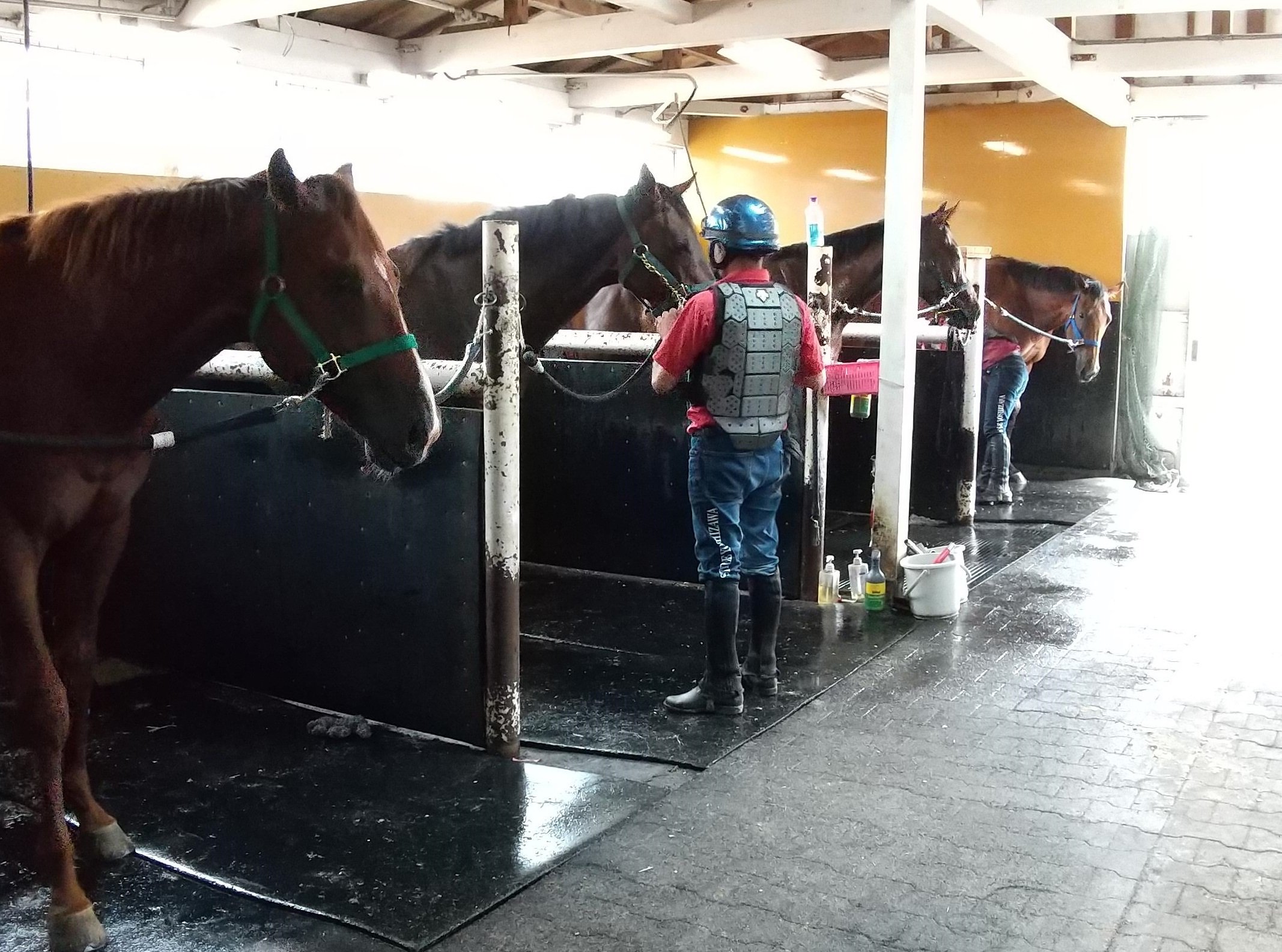 吉澤ステーブル洗い場