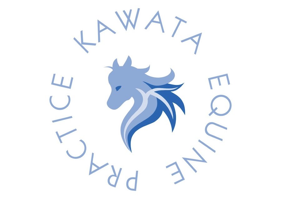 カワタエクワインプラクティスロゴ